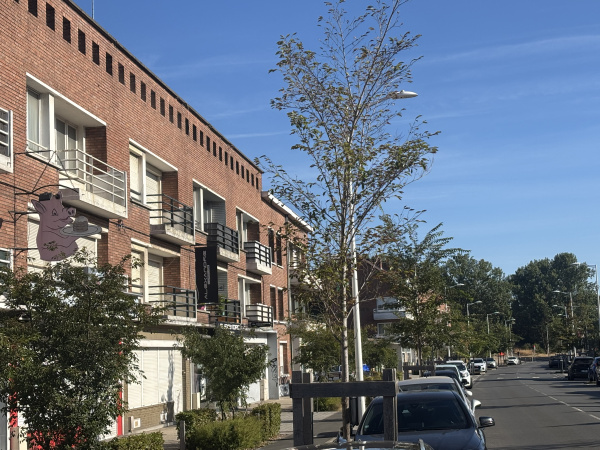 Offres de location Appartement Dunkerque 59140